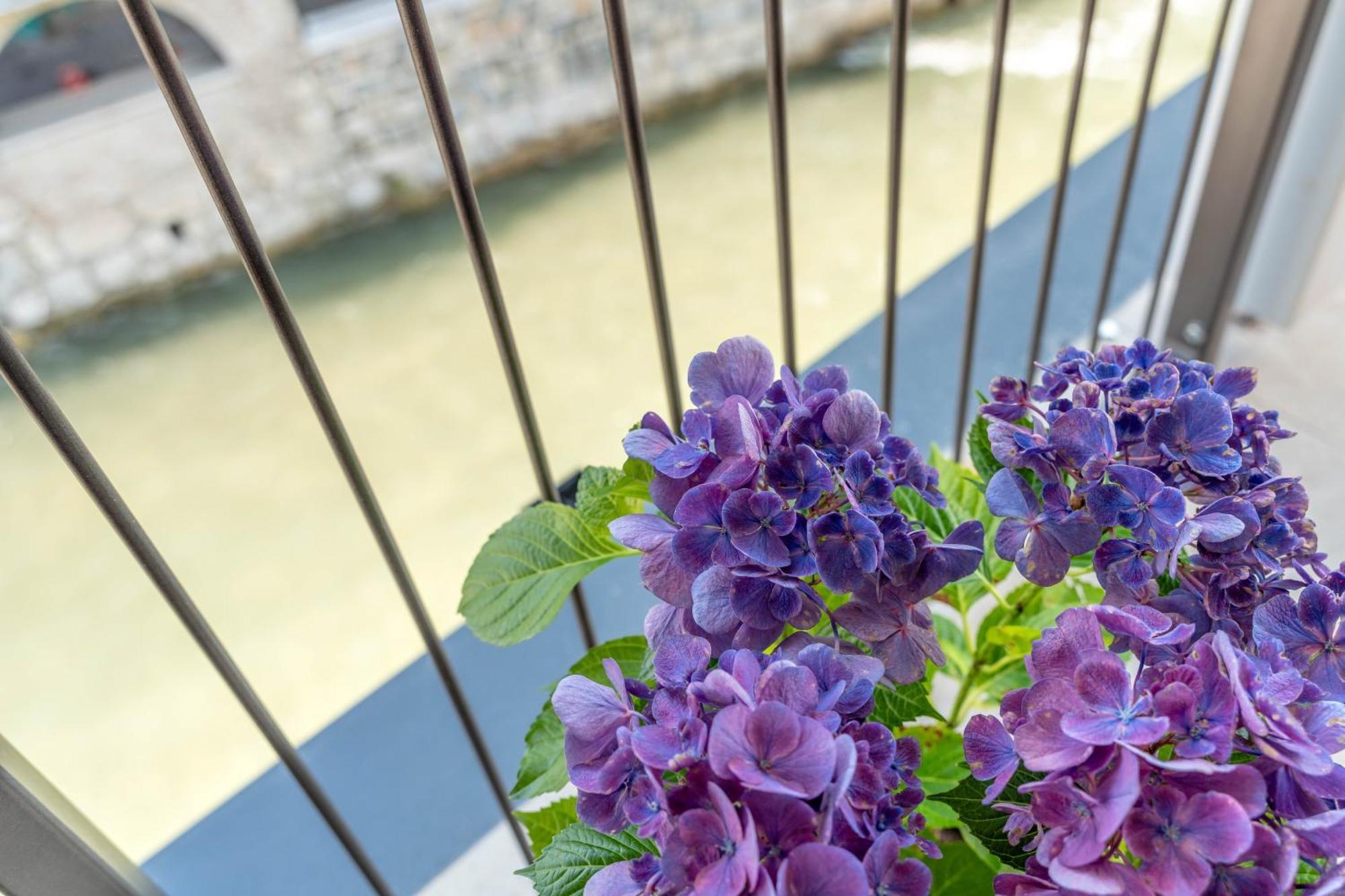 Luxury 2Br W/ River Castle View In Borgo Valsugana 아파트 외부 사진
